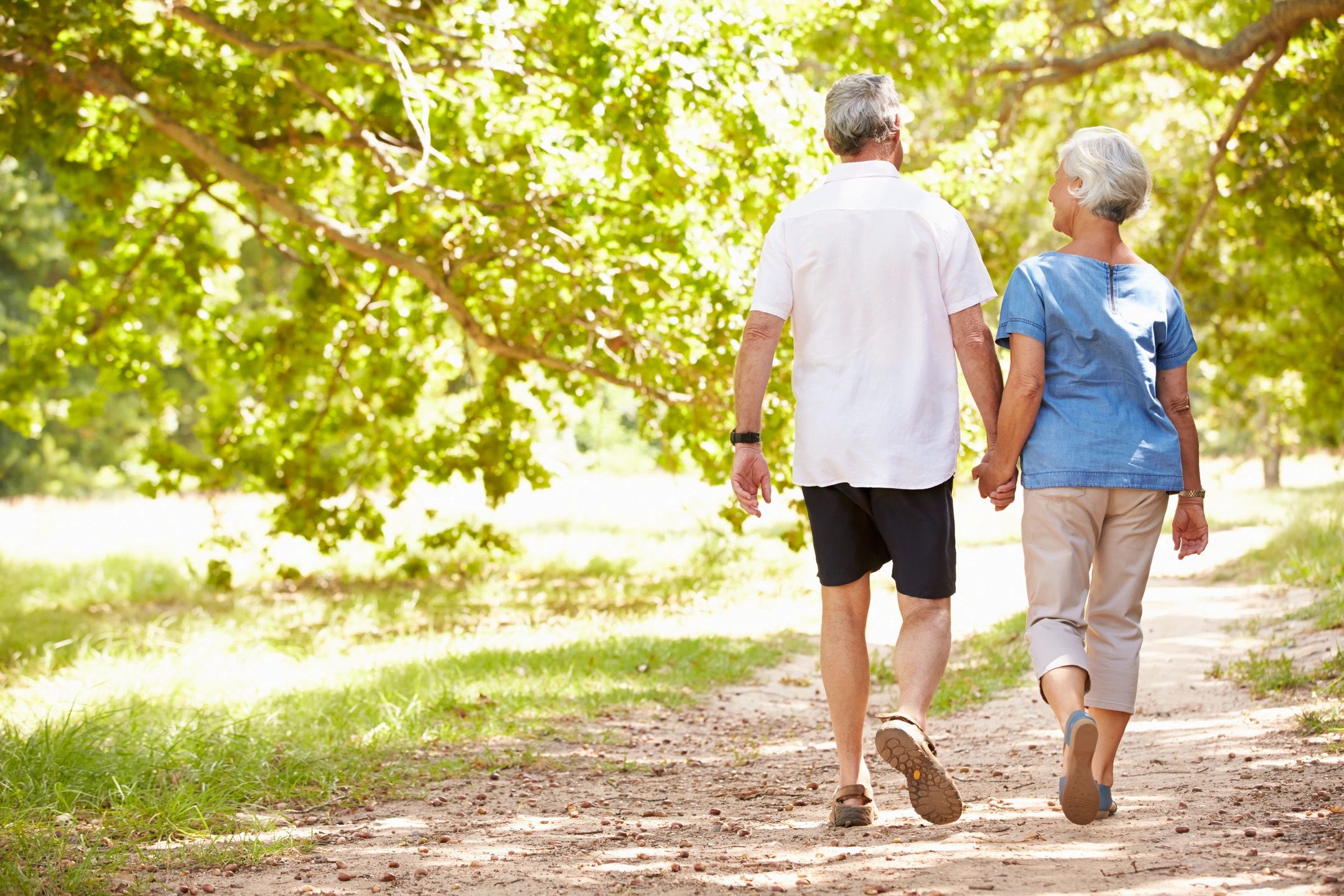 Older man and woman walking, hand in hand, down a tree-lined meadow lane