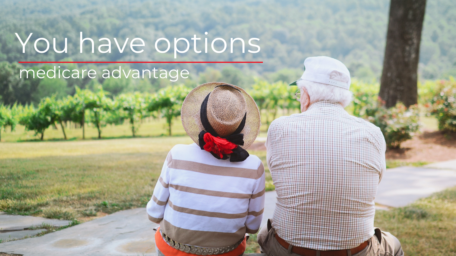 Elderly man and woman sitting side by side looking over a vineyard